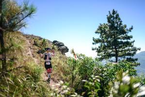 BIB: 
                            <button type="button" onclick="openModal(26608523)" class="btn btn-primary btn-sm float-right btn-popup" data-toggle="modal" data-target=".modal-high-quality">
                        <i class="fas fa-shopping-cart"></i> Add to Cart
                    </button>
                                            <button type="button" onclick="isThisMe(26608523, true)" class="btn btn-success btn-sm float-right btn-popup btn-isme hidden" data-toggle="tooltip" data-placement="bottom" title="นี่คือรูปของคุณใช่ไหม คลิกที่นี่เพื่อเอาเข้าอัลบั้ม">
                        <i class="fas fa-plus"></i> Add to album
                    </button>
                    <button type="button" onclick="isThisMe(26608523, false)" class="btn btn-warning btn-sm float-right btn-popup btn-isnotme hidden">
                        <i class="fas fa-ban"></i> Remove from album
                    </button>